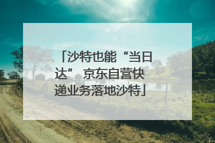 沙特也能“当日达” 京东自营快递业务落地沙特