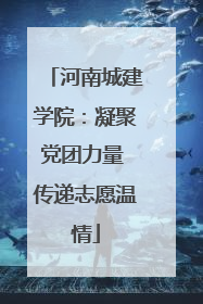 河南城建学院：凝聚党团力量 传递志愿温情