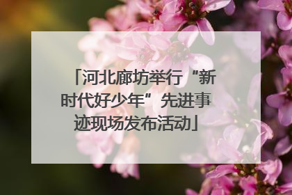 河北廊坊举行“新时代好少年”先进事迹现场发布活动