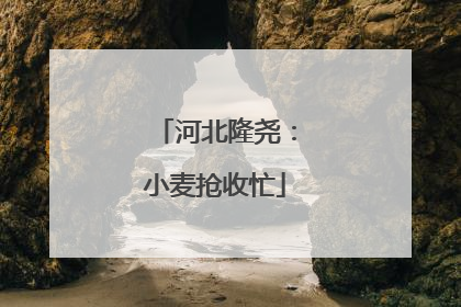 河北隆尧：小麦抢收忙