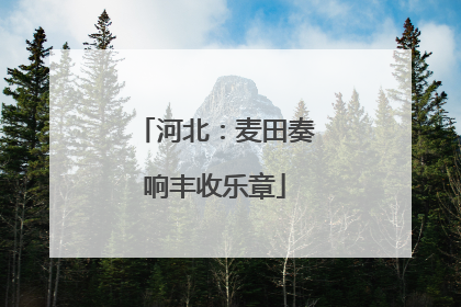 河北：麦田奏响丰收乐章