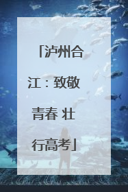 泸州合江：致敬青春 壮行高考