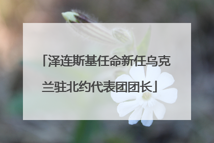 泽连斯基任命新任乌克兰驻北约代表团团长