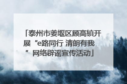 泰州市姜堰区顾高镇开展“e路同行 清朗有我”网络辟谣宣传活动