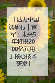 活力中国调研行｜雷军：未来5年将投2000亿元用于核心技术研发