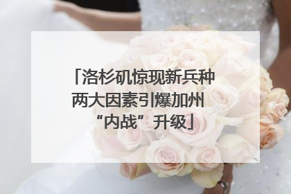 洛杉矶惊现新兵种 两大因素引爆加州“内战”升级