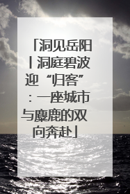 洞见岳阳丨洞庭碧波迎“归客”：一座城市与麋鹿的双向奔赴