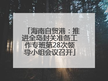 海南自贸港：推进全岛封关准备工作专班第28次领导小组会议召开