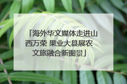 海外华文媒体走进山西万荣 果业大县展农文旅融合新图景