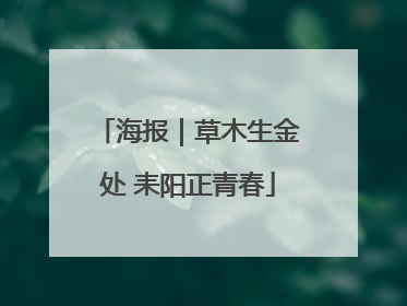 海报｜草木生金处 耒阳正青春