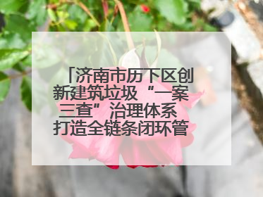 济南市历下区创新建筑垃圾“一案三查”治理体系 打造全链条闭环管理新范式