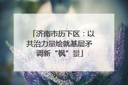 济南市历下区：以共治力量绘就基层矛调新“枫”景
