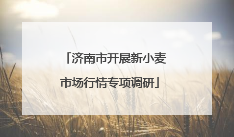 济南市开展新小麦市场行情专项调研