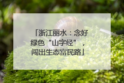 浙江丽水：念好绿色“山字经”，闯出生态富民路