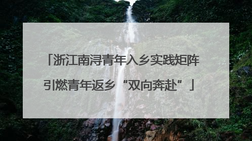 浙江南浔青年入乡实践矩阵 引燃青年返乡“双向奔赴”