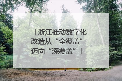 浙江推动数字化改造从“全覆盖”迈向“深覆盖”