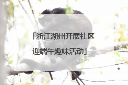 浙江湖州开展社区迎端午趣味活动