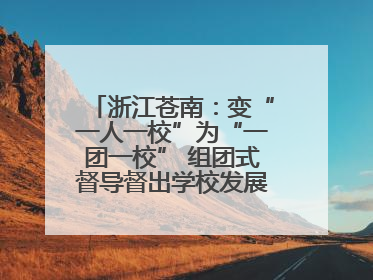 浙江苍南：变“一人一校”为“一团一校” 组团式督导督出学校发展加速度
