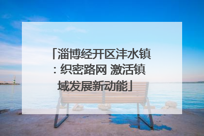 淄博经开区沣水镇：织密路网 激活镇域发展新动能