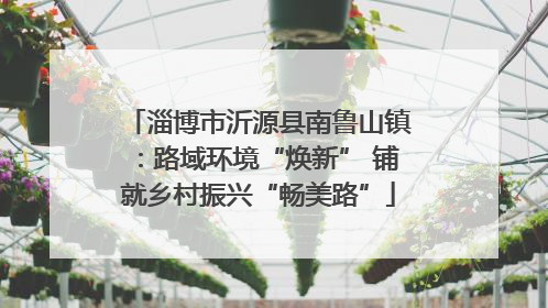 淄博市沂源县南鲁山镇：路域环境“焕新” 铺就乡村振兴“畅美路”