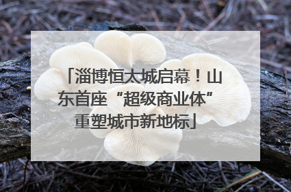 淄博恒太城启幕！山东首座“超级商业体”重塑城市新地标