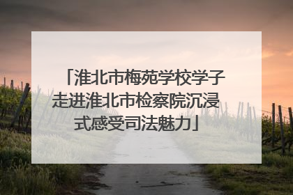 淮北市梅苑学校学子走进淮北市检察院沉浸式感受司法魅力