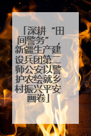 深耕“田间警务”，新疆生产建设兵团第二师公安以警护农绘就乡村振兴平安画卷