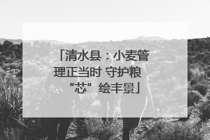 清水县：小麦管理正当时 守护粮“芯”绘丰景