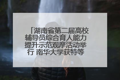湖南省第二届高校辅导员综合育人能力提升示范观摩活动举行 南华大学获特等奖和一等奖