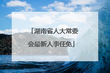 湖南省人大常委会最新人事任免