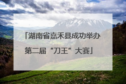 湖南省嘉禾县成功举办第二届“刀王”大赛
