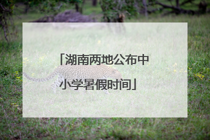 湖南两地公布中小学暑假时间