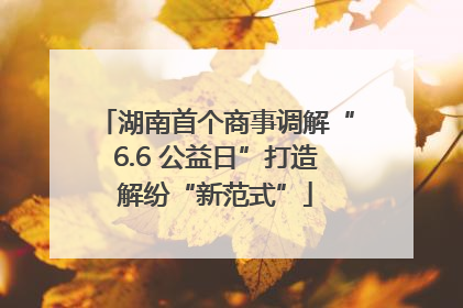 湖南首个商事调解“6.6 公益日”打造解纷“新范式”
