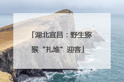 湖北宜昌：野生猕猴“扎堆”迎客