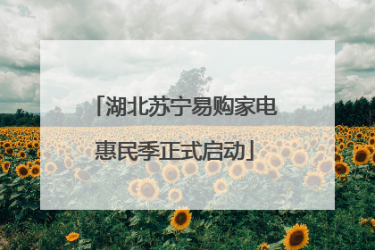 湖北苏宁易购家电惠民季正式启动