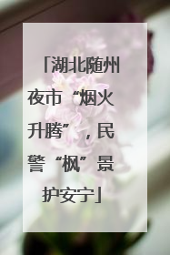 湖北随州夜市“烟火升腾”，民警“枫”景护安宁