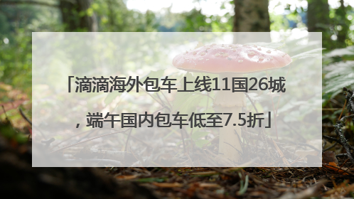 滴滴海外包车上线11国26城，端午国内包车低至7.5折
