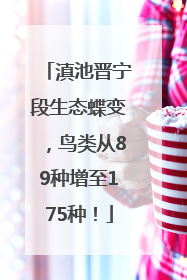 滇池晋宁段生态蝶变，鸟类从89种增至175种！
