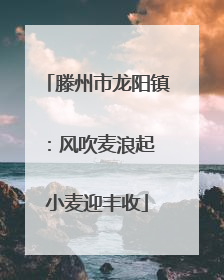 滕州市龙阳镇：风吹麦浪起 小麦迎丰收