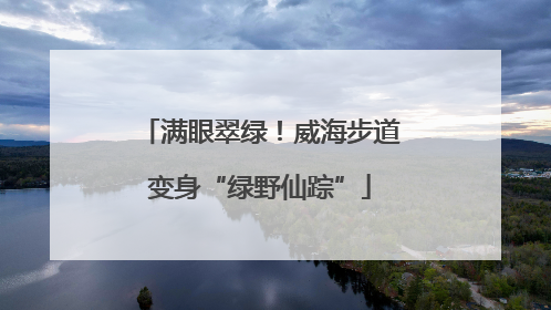 满眼翠绿！威海步道变身“绿野仙踪”