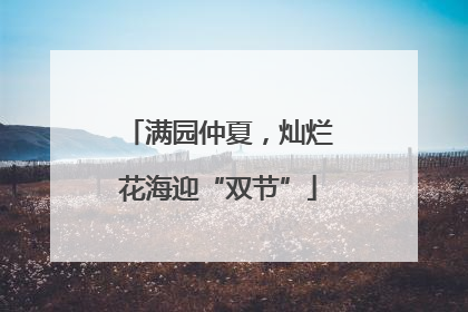 满园仲夏，灿烂花海迎“双节”