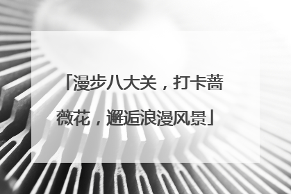 漫步八大关，打卡蔷薇花，邂逅浪漫风景
