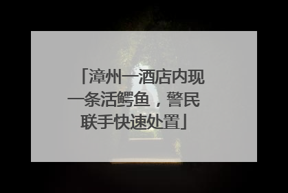 漳州一酒店内现一条活鳄鱼，警民联手快速处置