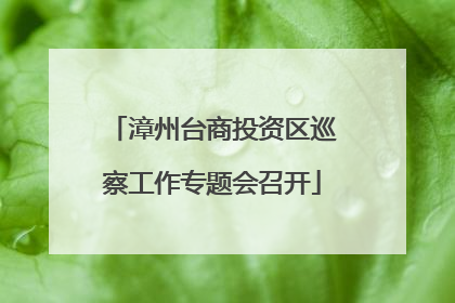 漳州台商投资区巡察工作专题会召开
