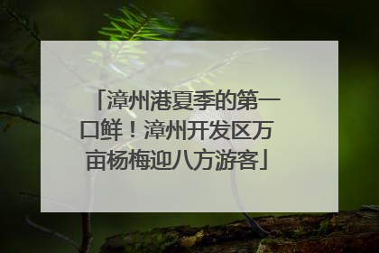 漳州港夏季的第一口鲜！漳州开发区万亩杨梅迎八方游客
