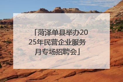 菏泽单县举办2025年民营企业服务月专场招聘会