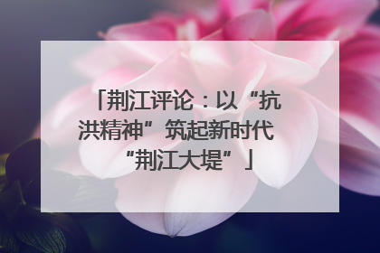 荆江评论：以“抗洪精神”筑起新时代“荆江大堤”