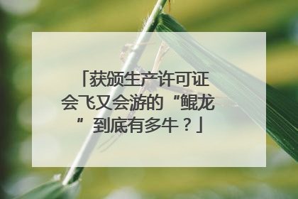 获颁生产许可证 会飞又会游的“鲲龙”到底有多牛？