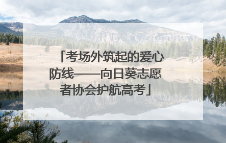 考场外筑起的爱心防线——向日葵志愿者协会护航高考