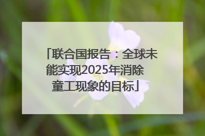 联合国报告：全球未能实现2025年消除童工现象的目标